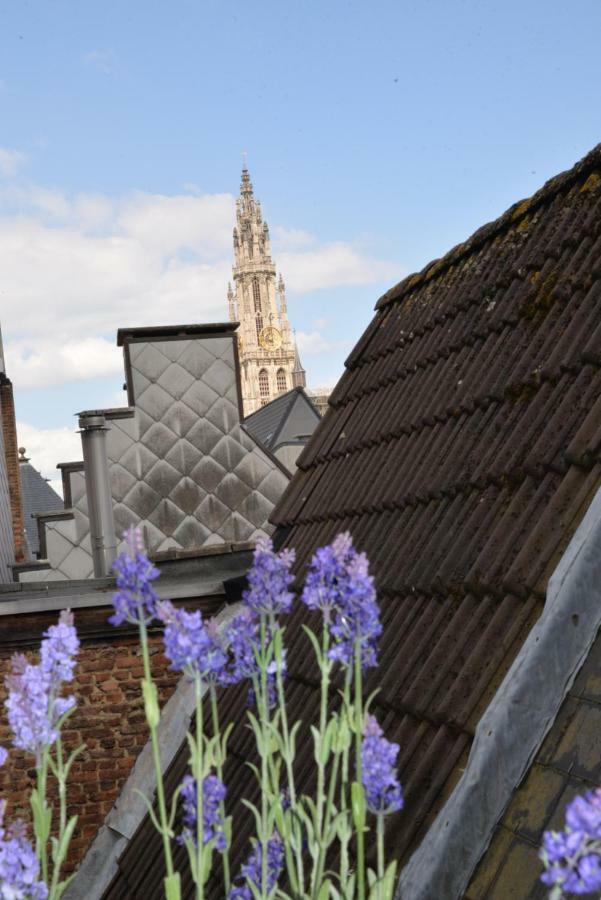 Huize Amoras Antwerpen Eksteriør billede